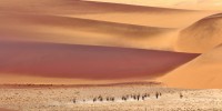 Les dunes rouges du désertJ ©Julie Verbrugge-