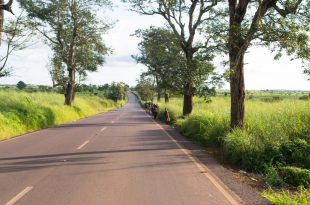 Sur les routes d'Angola